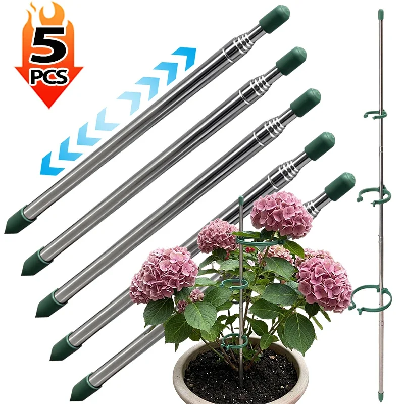 Plant Parent Tools - วงแหวนรองรับต้นไม้แบบยืดหดได้ 5/1 ชิ้น สีเขียว สำหรับต้นไม้กระถาง ป้องกันการงอ