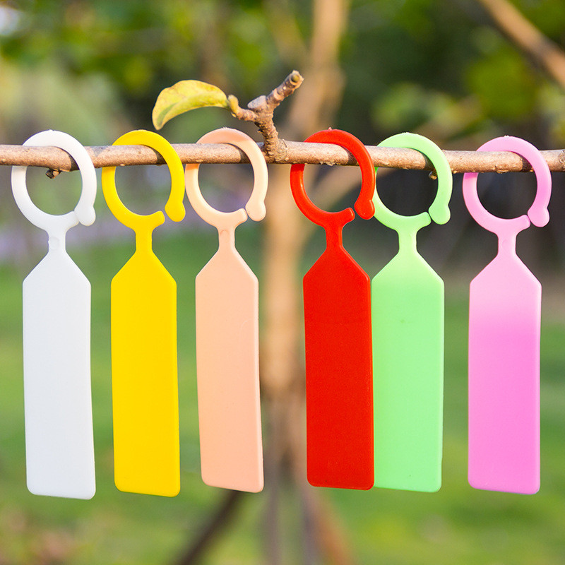 Plant Parent Tools - 50 ชิ้นกันน้ําป้ายโรงงานบ้านดอกไม้หมวดหมู่เรือนกระจก Orchard โรงงานพลาสติกหมวดหมู่สวนเครื่องมือ Reusable ต้นกล้าป้าย