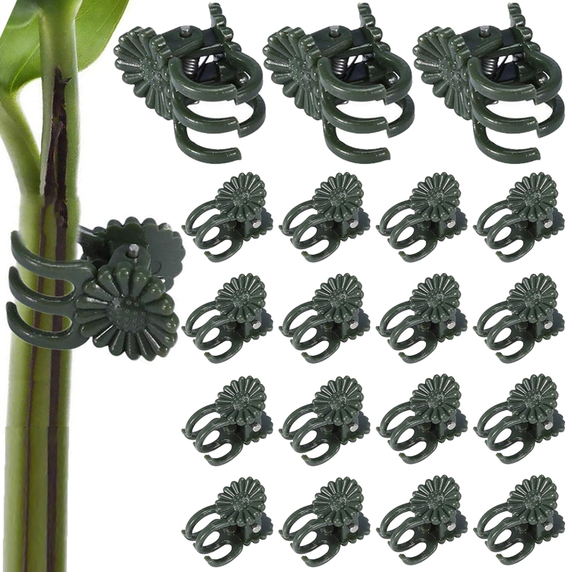 Plant Parent Tools - คลิปหนีบต้นไม้20/50/100ชิ้นคลิปยึดเถาองุ่นรองรับพืชสำหรับการต่อกิ่งมะเขือเทศคลิปดอกไม้กล้วยไม้ผีเสื้อเครื่องมือตกแต่งสวน
