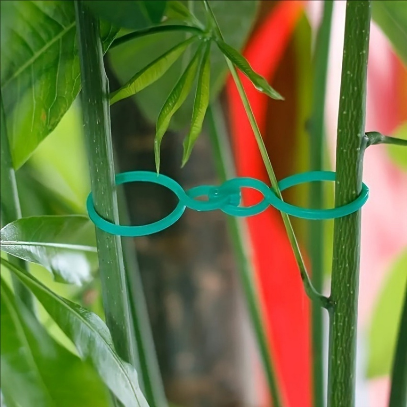 ชุดอุปกรณ์พยุงต้นไม้ในสวน 125  - Plant Parent Kit บทวิจารณ์และราคา