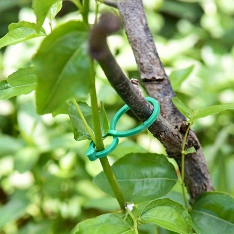 ชุดอุปกรณ์พยุงต้นไม้ในสวน 125  - Plant Parent Kit บทวิจารณ์และราคา