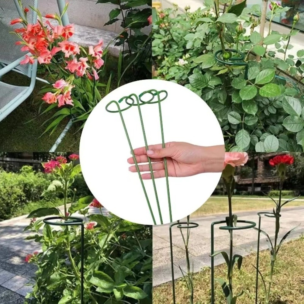 โครงเหล็กใหม่สำหรับรองรับต้นไม - Plant Parent Tools บทวิจารณ์และราคา