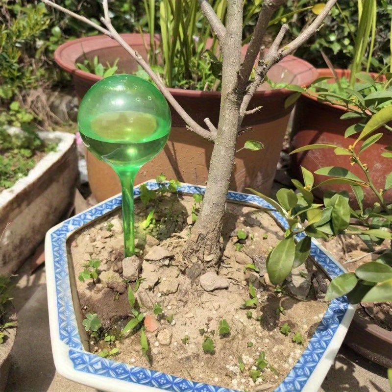 ลูกบอลรดน้ำต้นไม้ในร่ม 6 ชิ้น  - Plant Parent Kit บทวิจารณ์และราคา