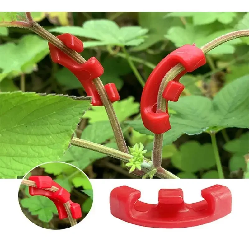 10-100 ชิ้น คลิปดัดกิ่งต้นไม้  - Plant Parent Tools บทวิจารณ์และราคา
