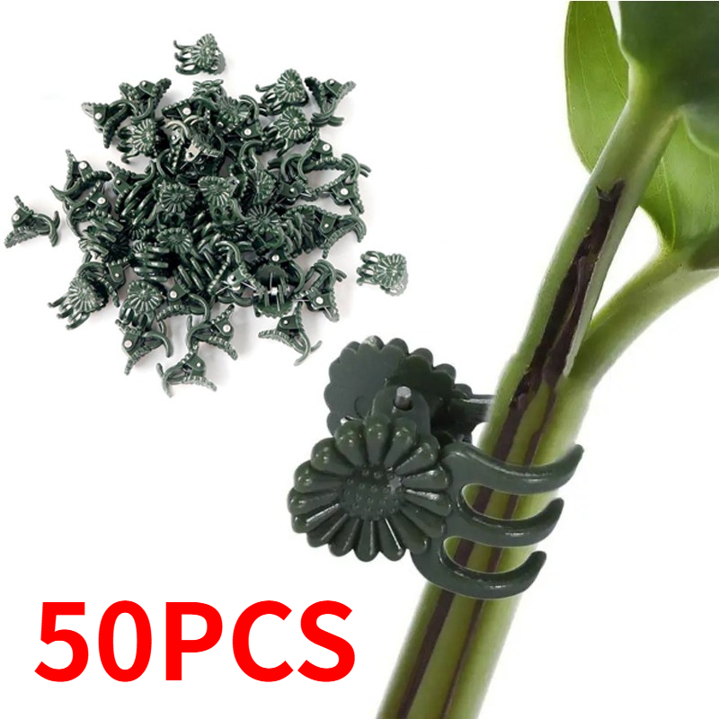 คลิปหนีบต้นไม้สีเขียวเข้มแบบ 5 - Plant Parent Tools บทวิจารณ์และราคา