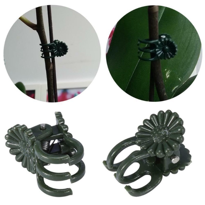 คลิปหนีบต้นไม้สีเขียวเข้มแบบ 5 - Plant Parent Tools บทวิจารณ์และราคา