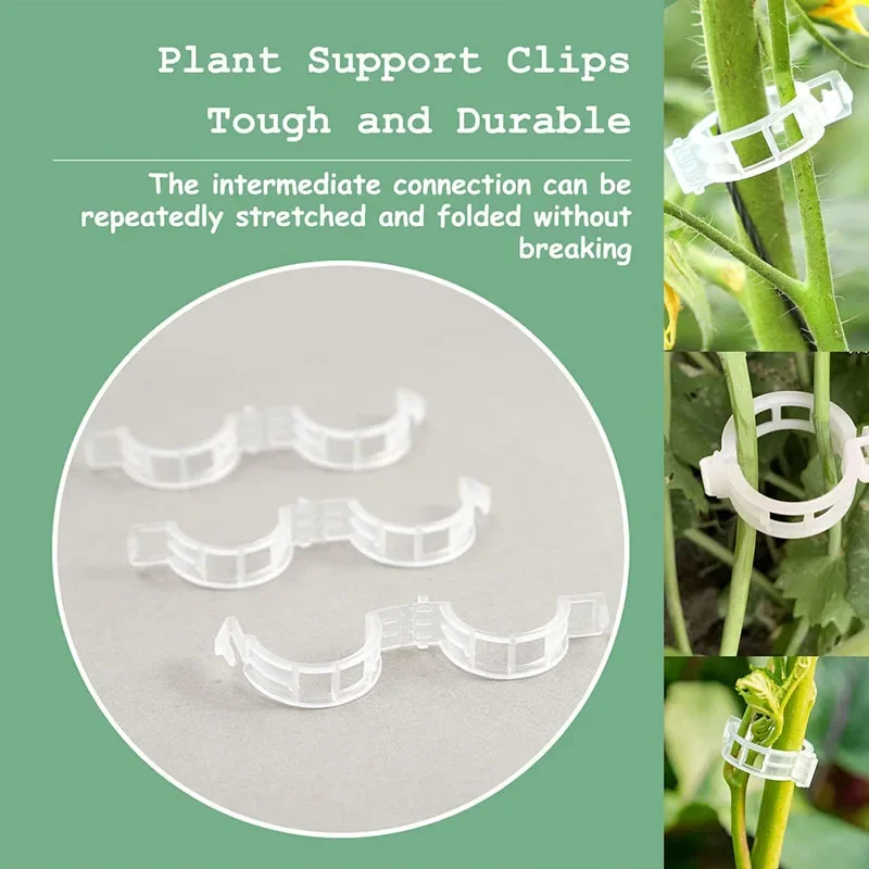 100PCS โรงงานคลิปยึด Reusable  - Plant Parent Tools บทวิจารณ์และราคา