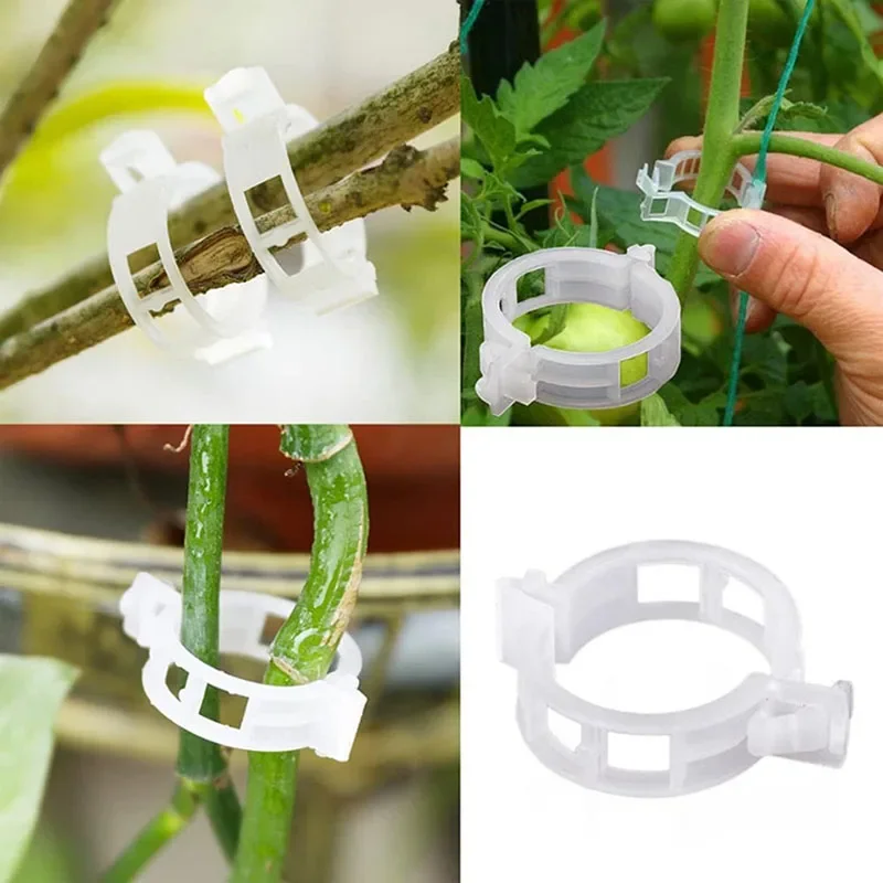 100PCS โรงงานคลิปยึด Reusable  - Plant Parent Tools บทวิจารณ์และราคา