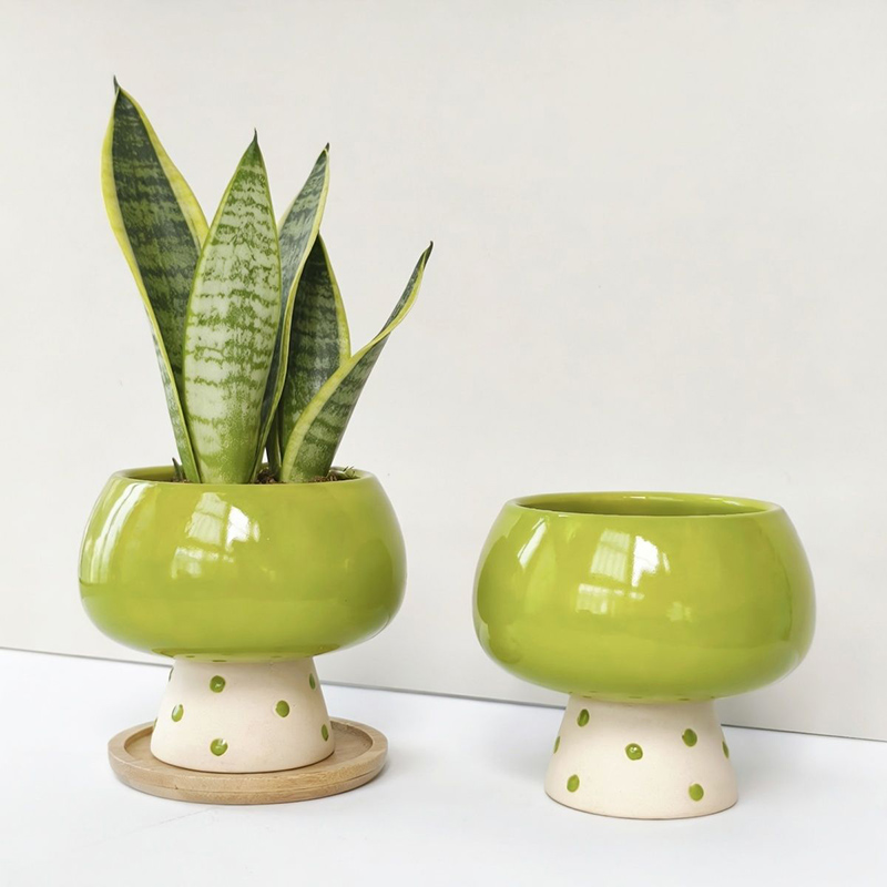กระถางดอกไม้เซรามิกสไตล์มินิมอ - Snake Plant Ceramic บทวิจารณ์และราคา