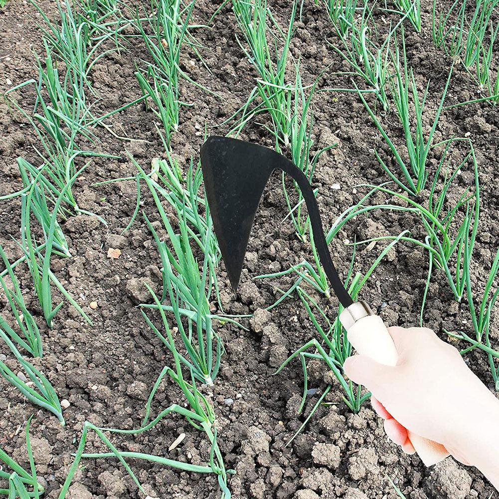 จอบเครื่องมือการเกษตรทรงสามเหล - Plant Parent Tools บทวิจารณ์และราคา