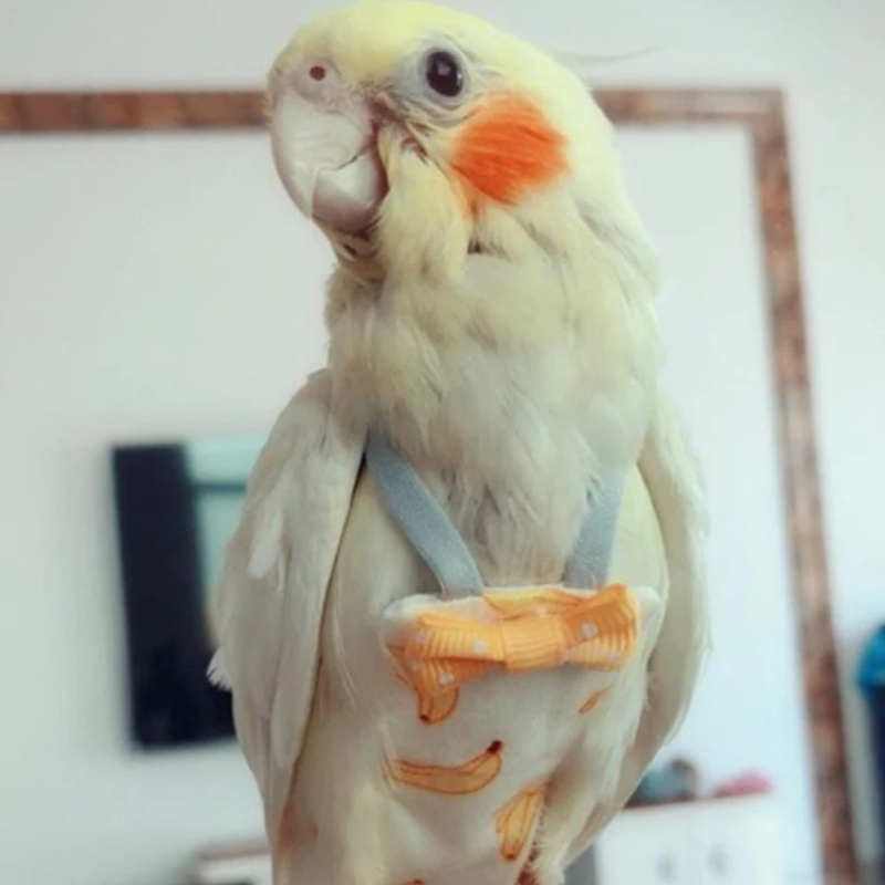 Parrot ผ้าอ้อม Bowtie น่ารักสี - Plant Parenthood บทวิจารณ์และราคา