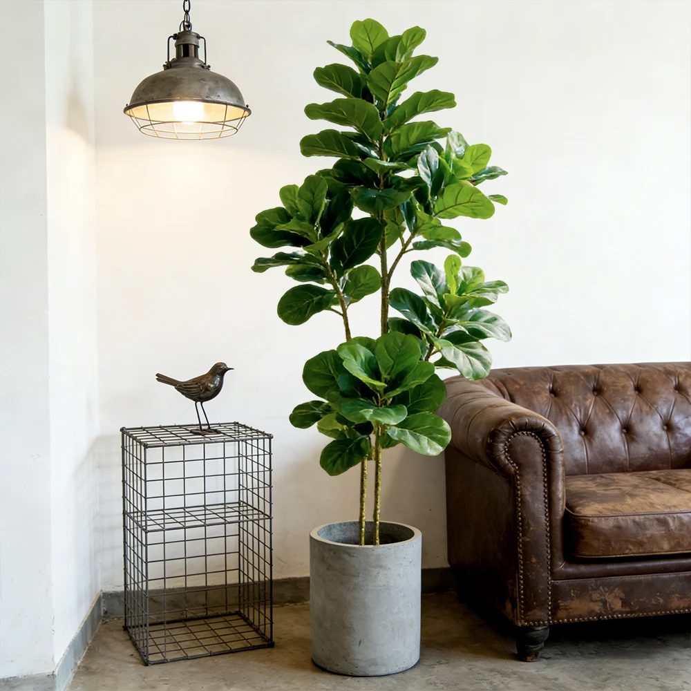 ต้นมะเดื่อปลอมขนาด 64/122 ซม.  - Fiddle Leaf Fig บทวิจารณ์และราคา