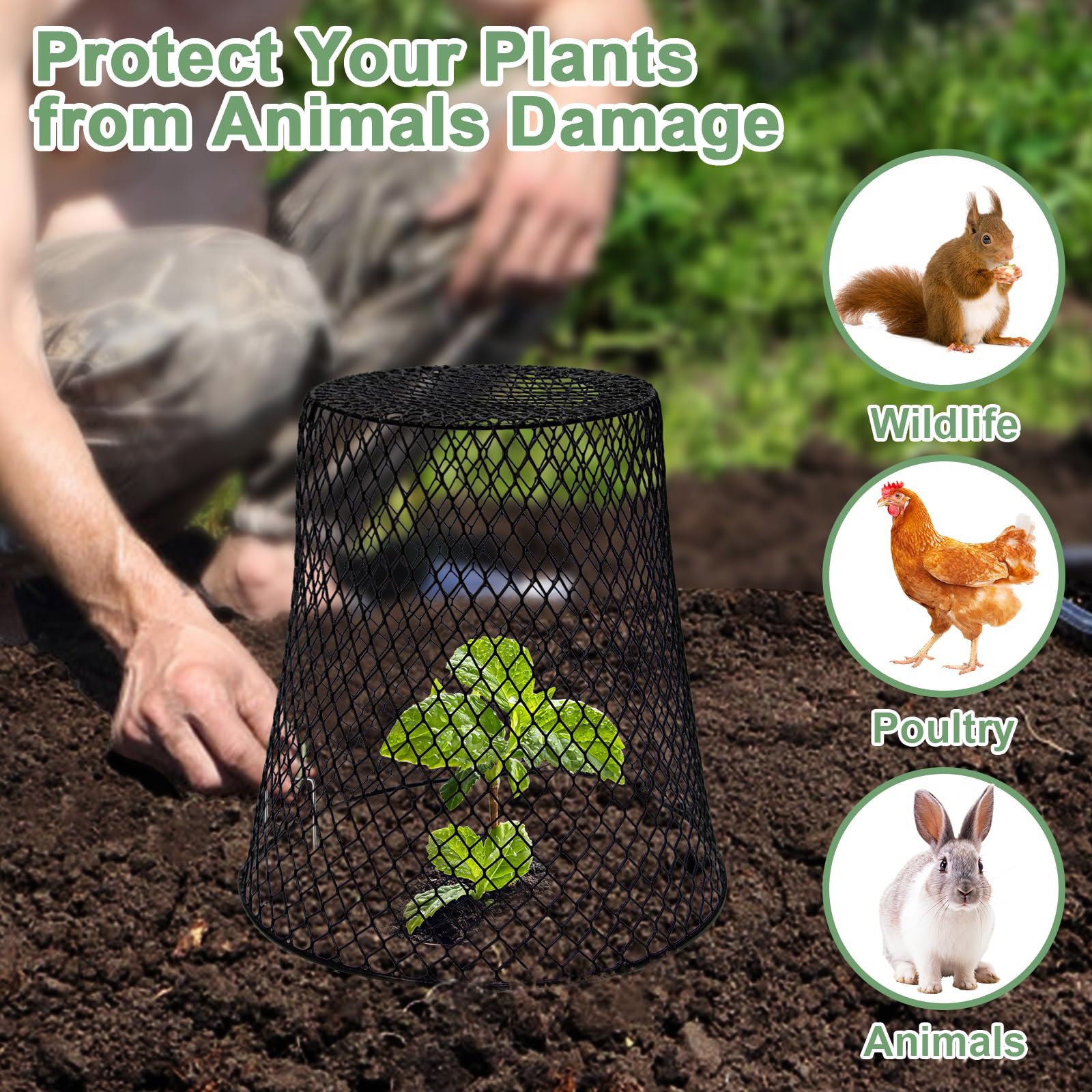 ตาข่ายป้องกันหอยทากสำหรับต้นไม - Plant Parent Tools บทวิจารณ์และราคา
