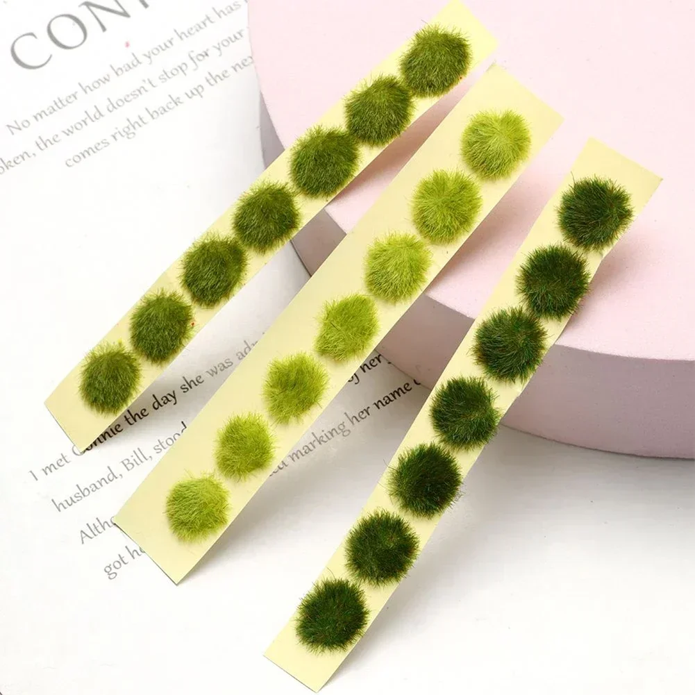 จําลอง Miniature ดอกไม้หญ้า Tu - Plant Parent Kit บทวิจารณ์และราคา