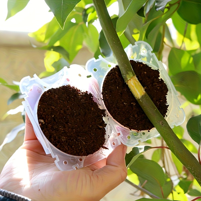 ชุดอุปกรณ์ขยายพันธุ์พืชแบบแรงด - Plant Parent Tools บทวิจารณ์และราคา